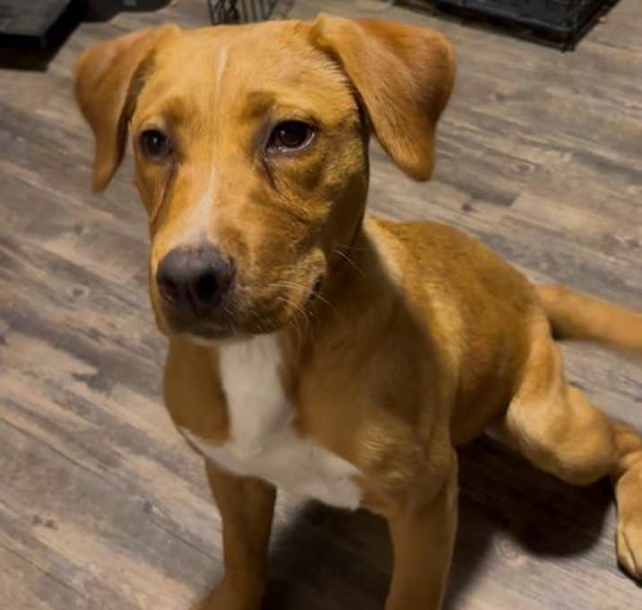 Photo of Becky