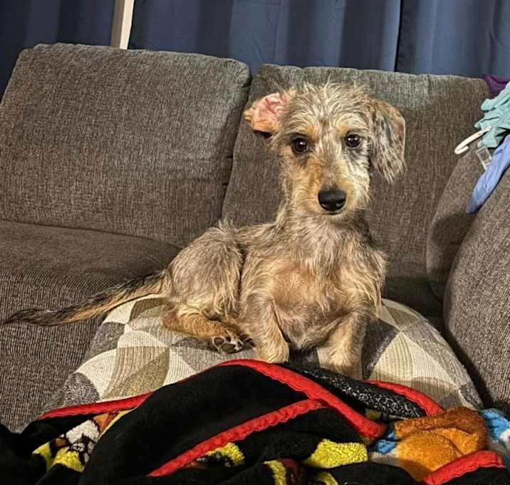 Photo of Penelope