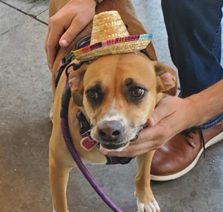 Photo of MIA