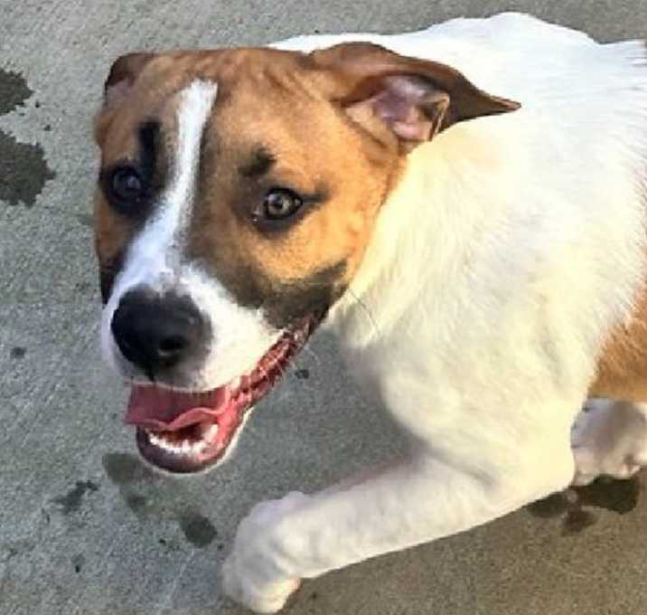 Photo of Charlie