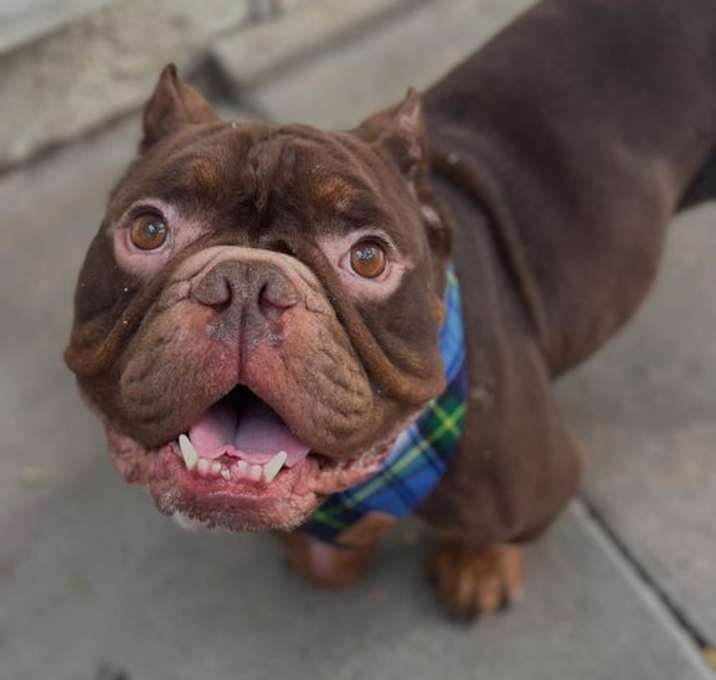 Photo of Hugo