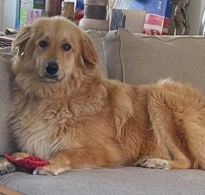 Photo of Beethoven
