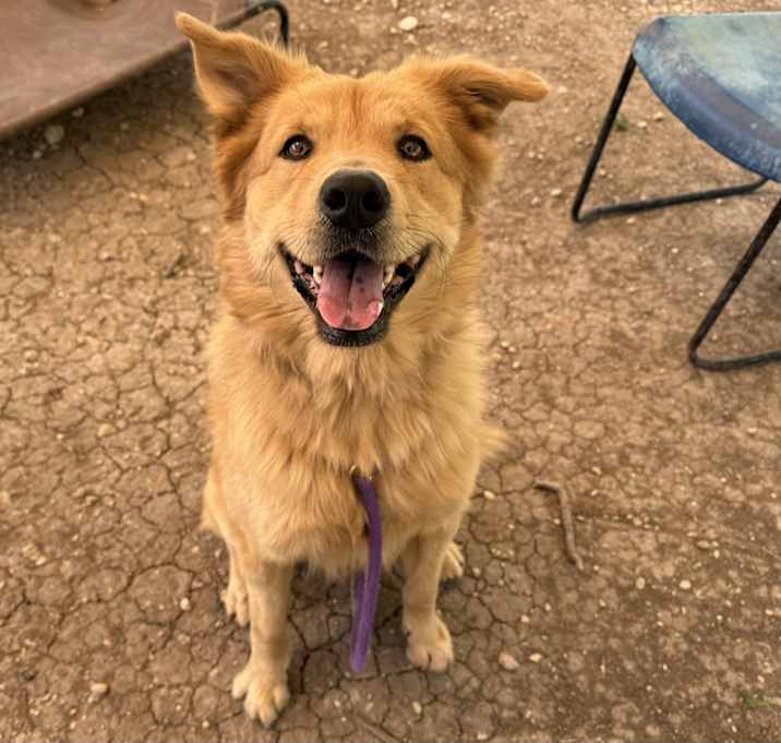 Photo of Arlo