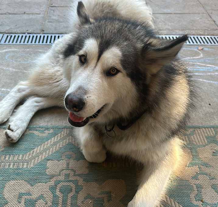 Photo of Tess