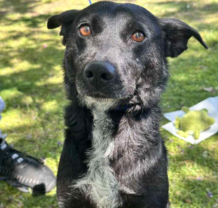 Photo of Matilda