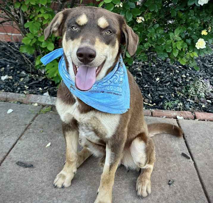 Photo of Copper
