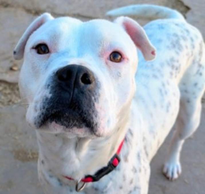 Photo of SNOWY