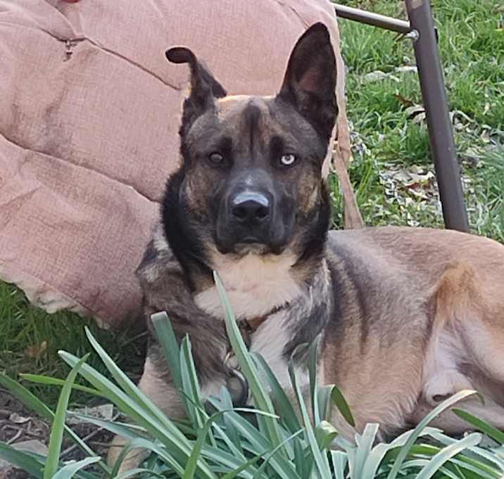 Photo of Max