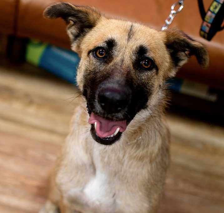 Photo of Mya