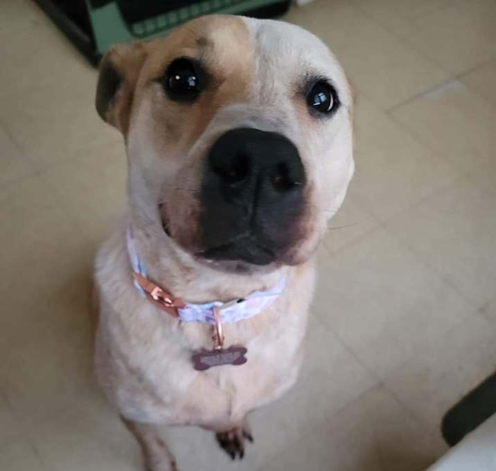 Photo of Hazel