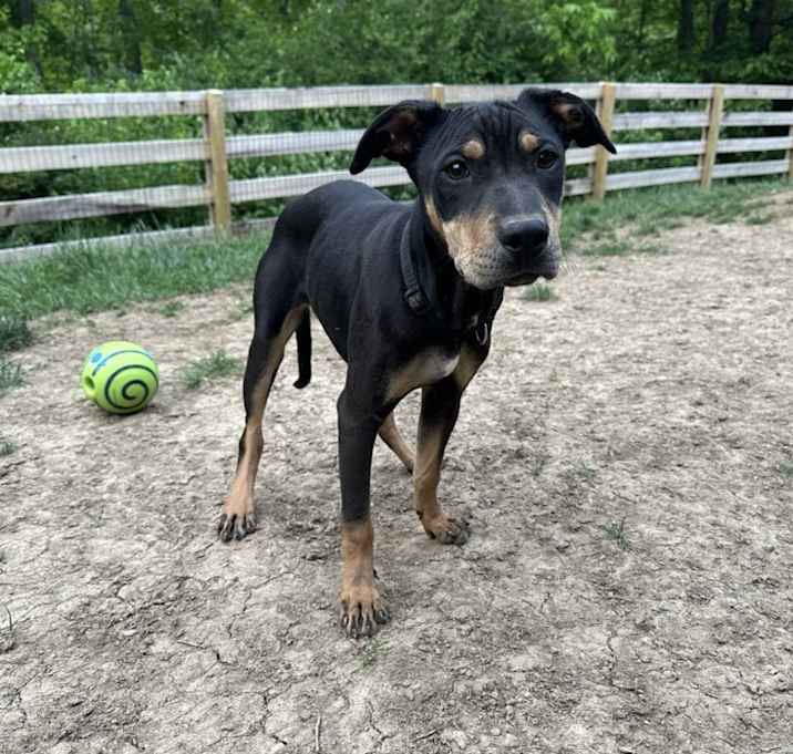 Photo of SR : Tilly Star