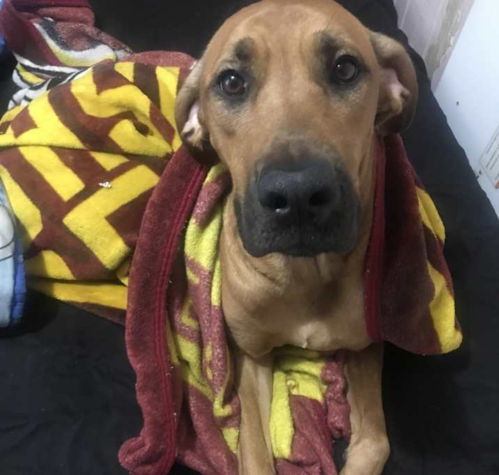 Photo of Sasha