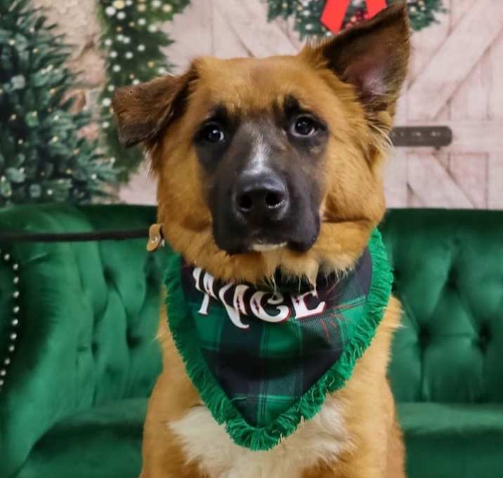 Photo of Duke