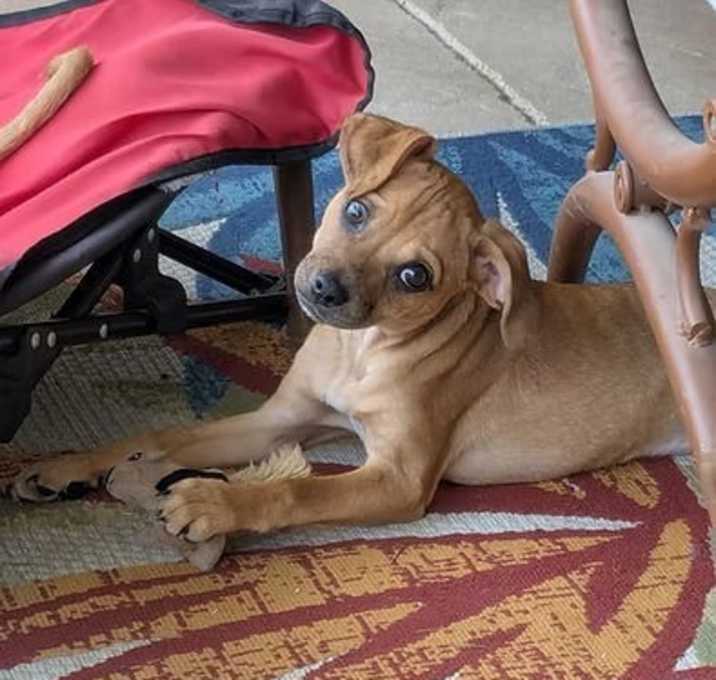Photo of Zarina
