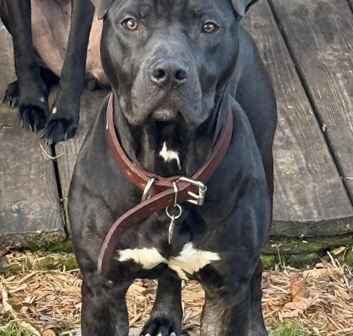 Photo of Zeus
