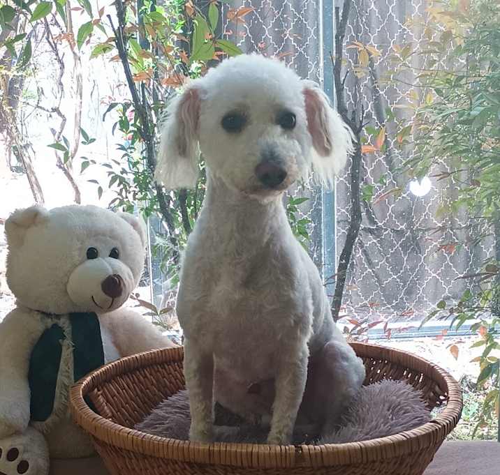 Photo of Max