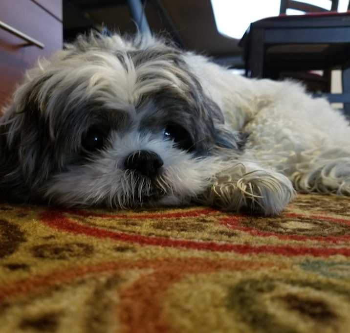 Photo of JoJo
