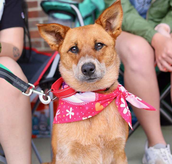 Photo of Chili