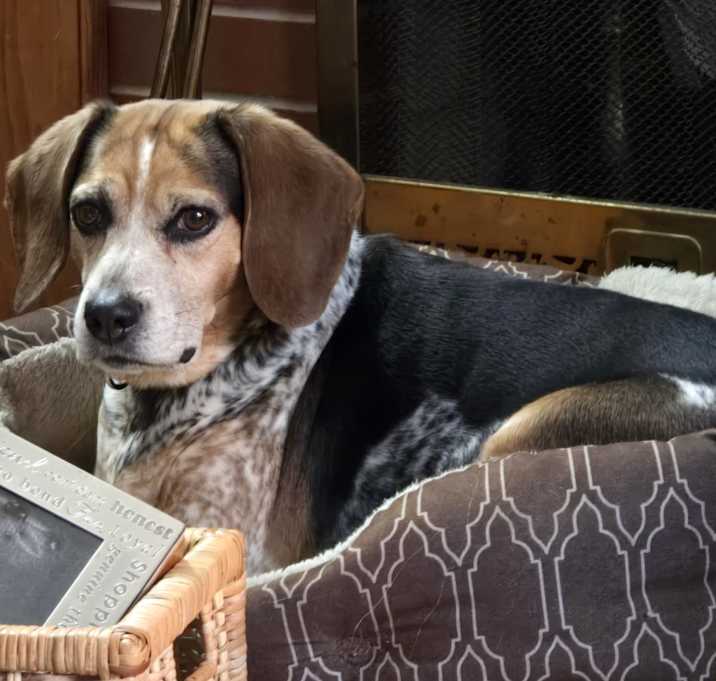 Photo of Maisey
