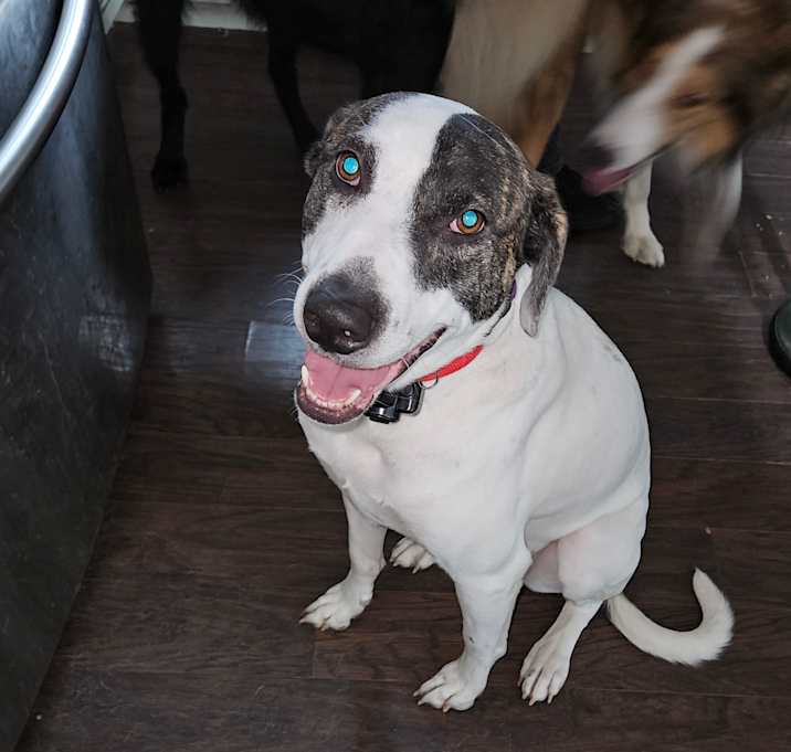 Photo of Darcie