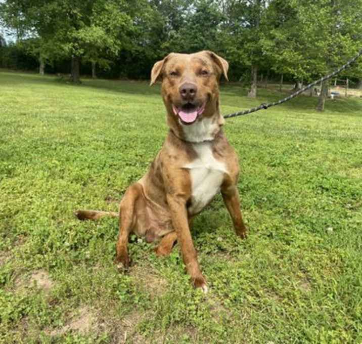 Photo of Goober