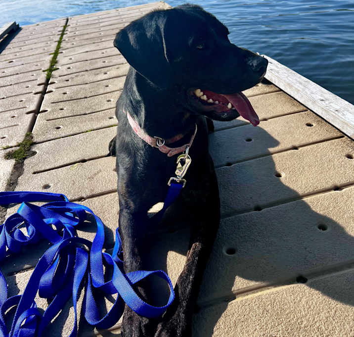 Photo of Bronx