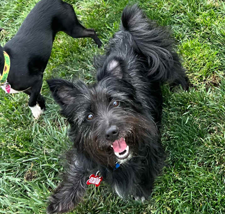Photo of Franklin!