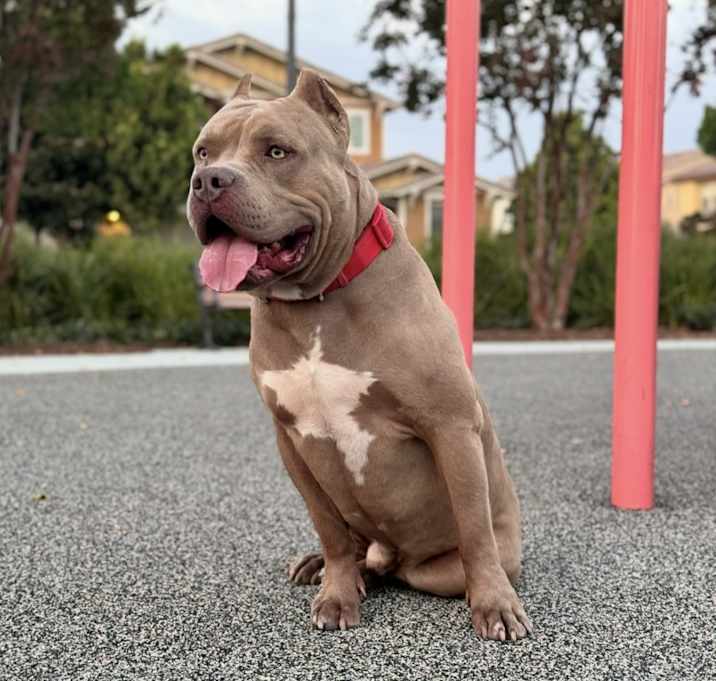 Photo of Handsome