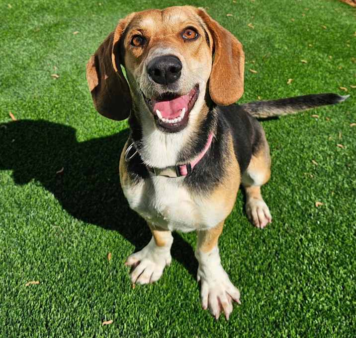 Photo of slinky