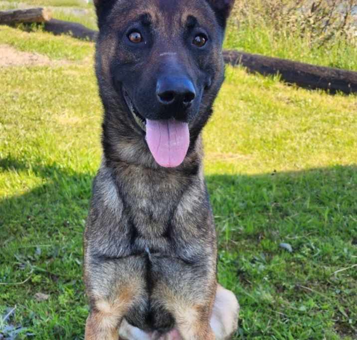 Photo of Pavlov