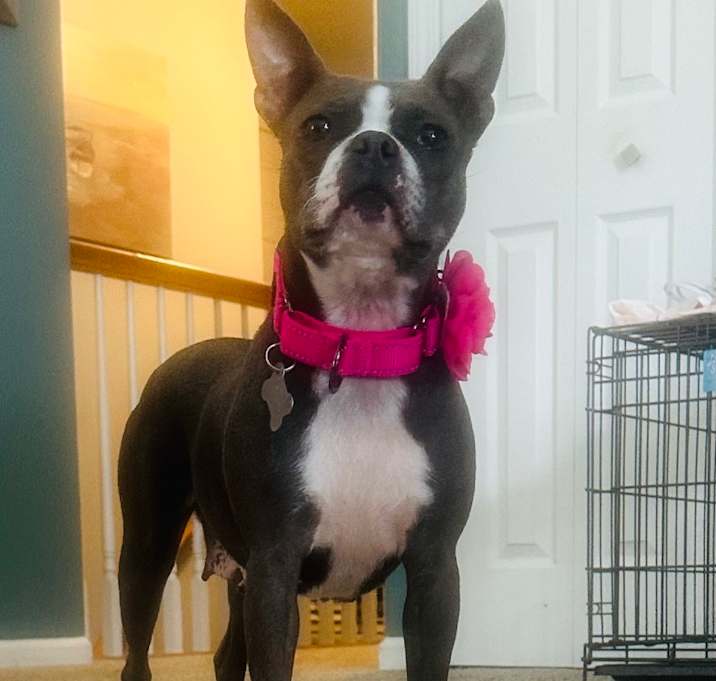 Photo of Little Debbie - 2271