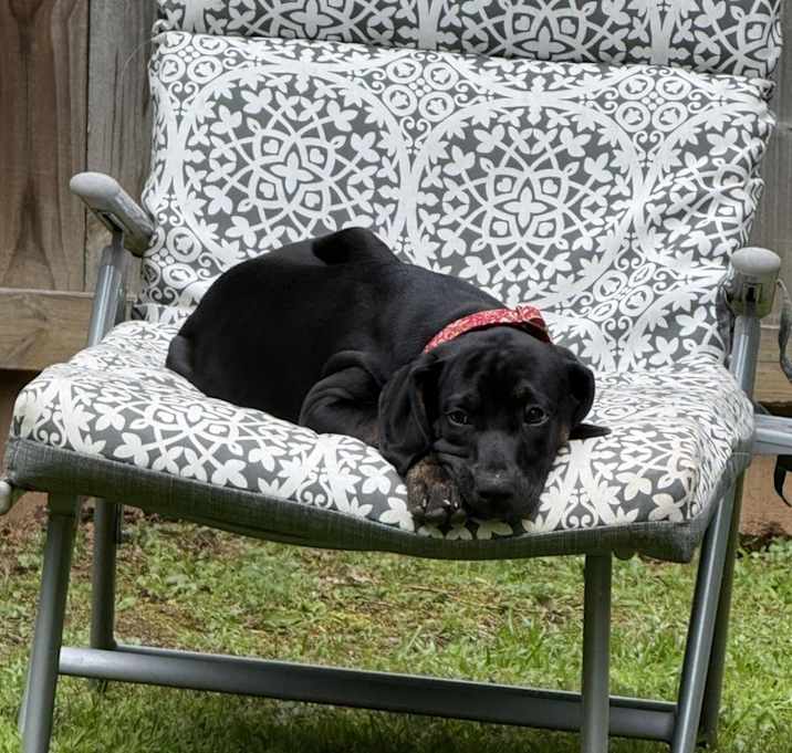 Photo of Bindi (Layla Little's)