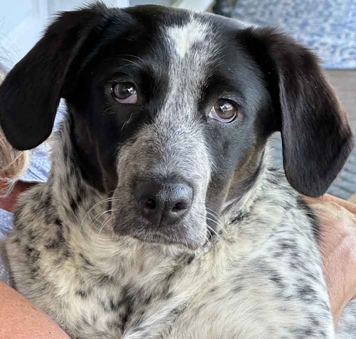 Photo of Cash