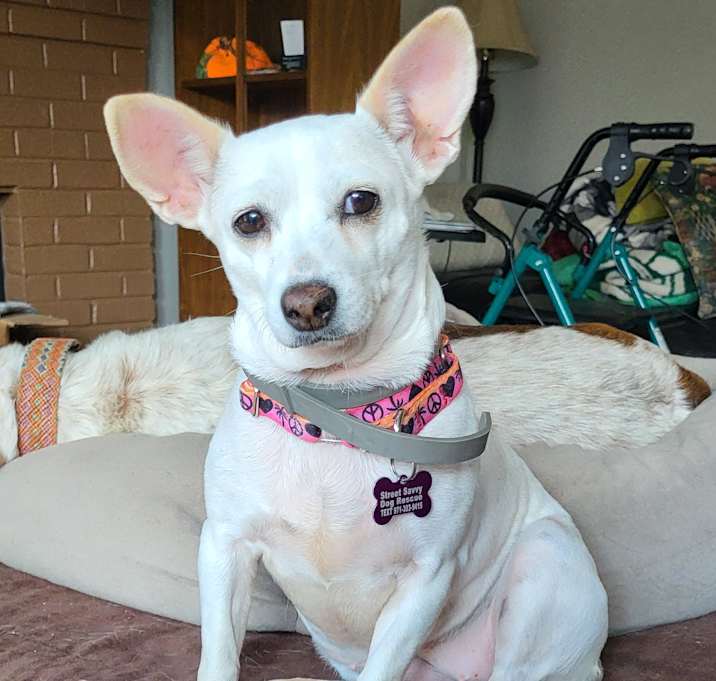 Photo of Clarissa