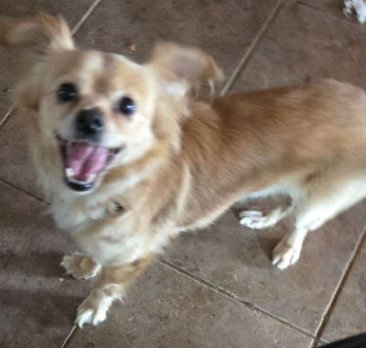 Photo of Jerry