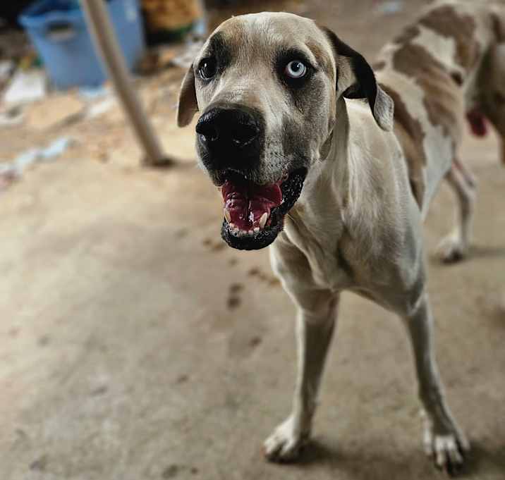 Photo of Waldo