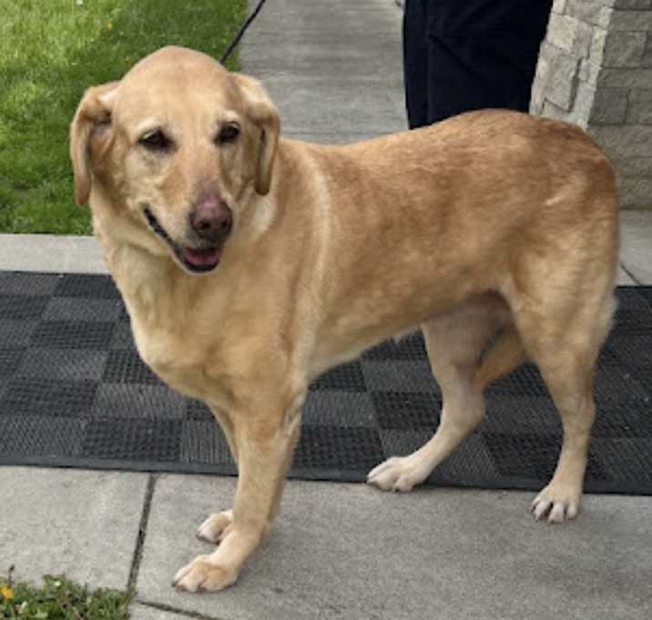 Photo of Maggie