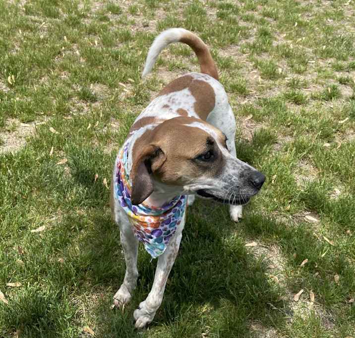 Photo of Rosie