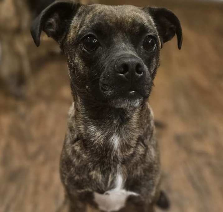 Photo of Hazel