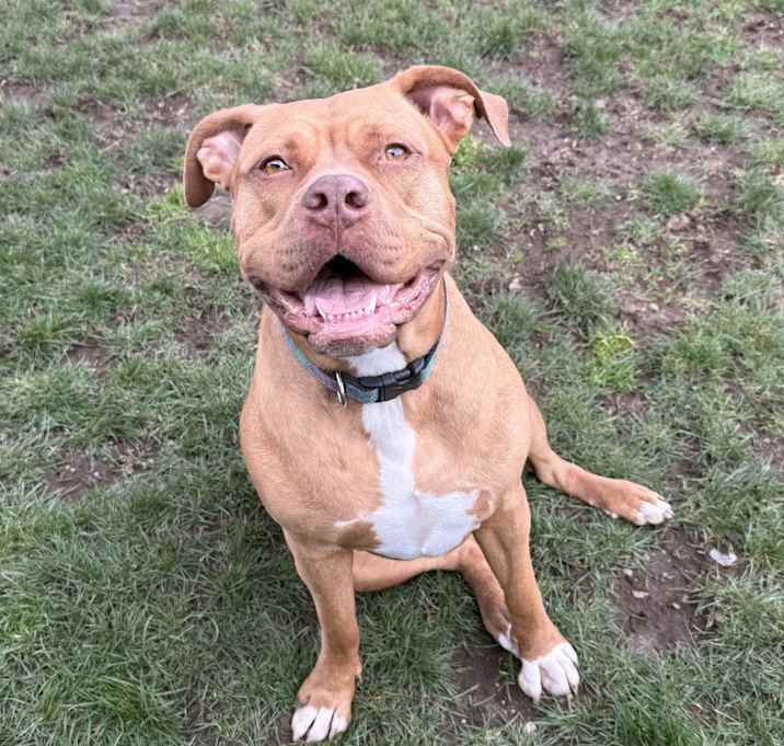 Photo of Finley