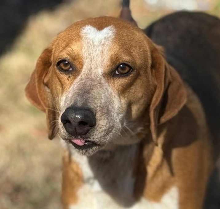 Photo of Jolene