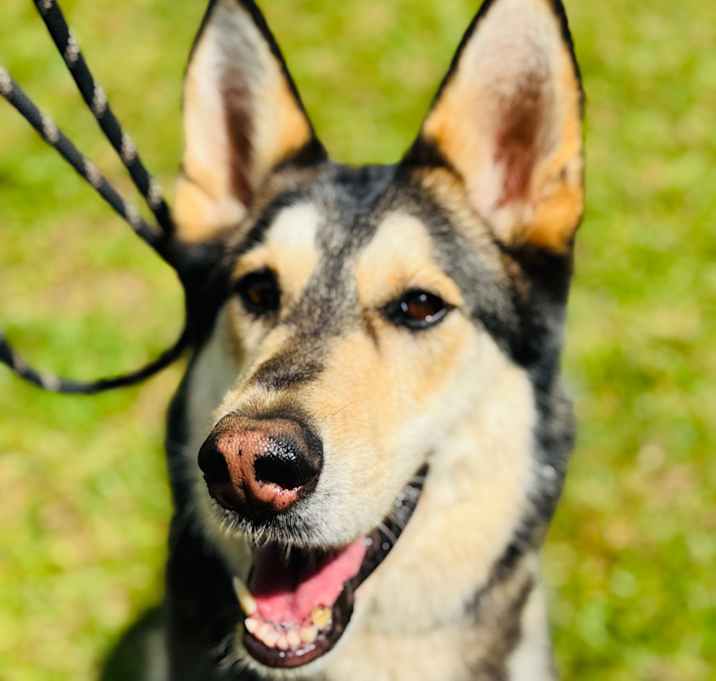 Photo of MoLena