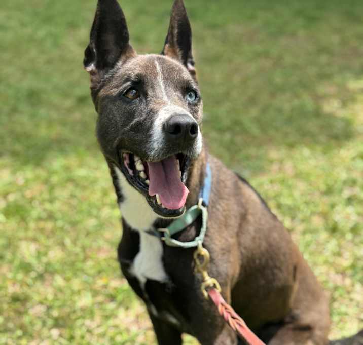 Photo of Winnie