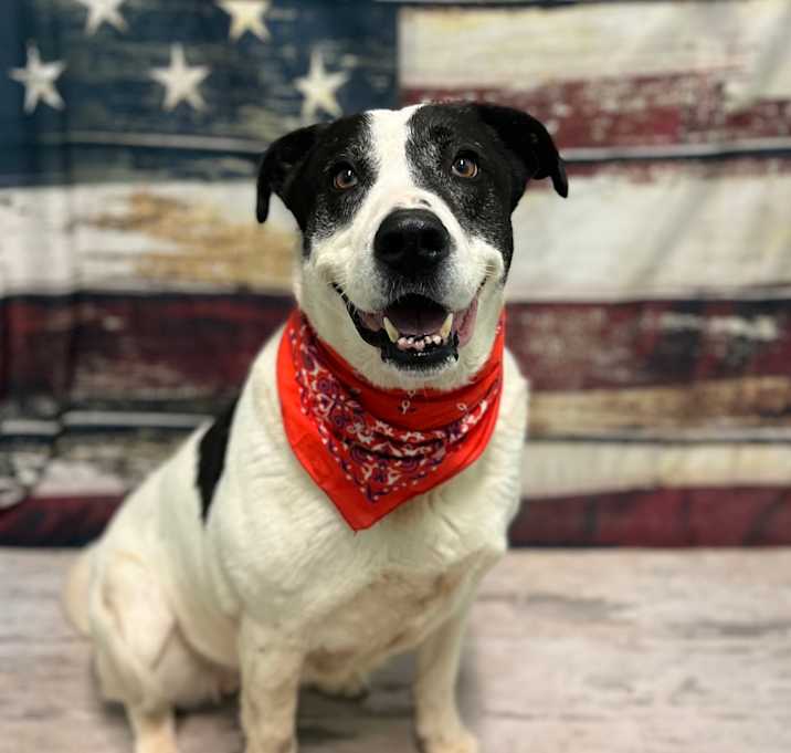 Photo of Daisy