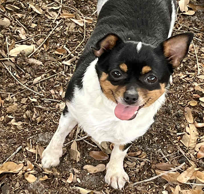 Photo of Our little Sausage!!!