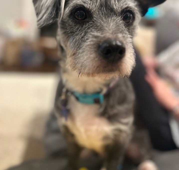 Photo of Haylie