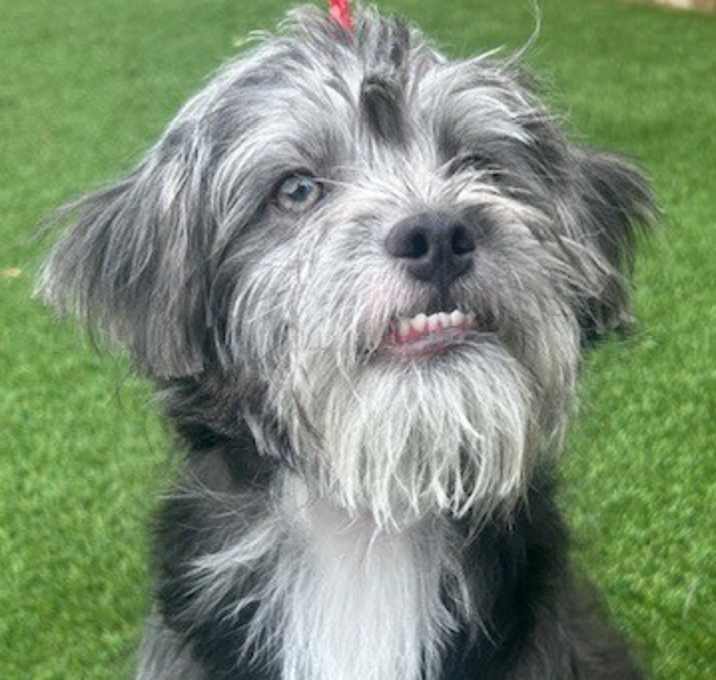 Photo of AGATHA
