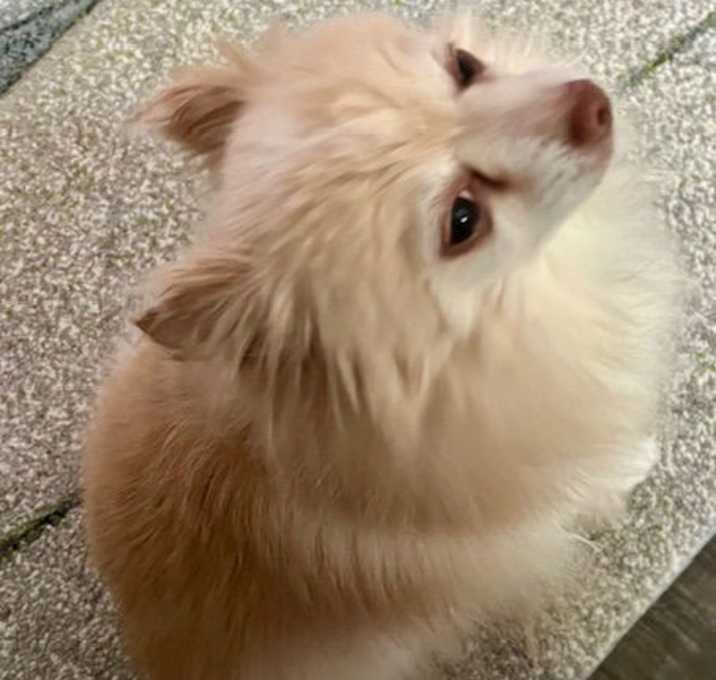 Photo of Gracious