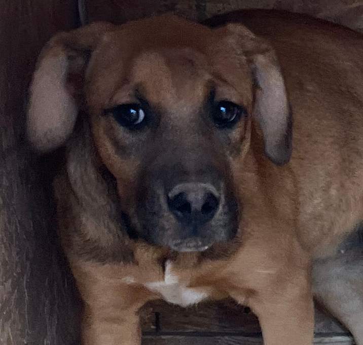 Photo of Lucie