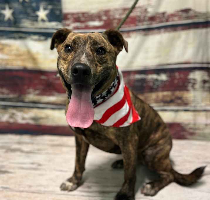 Photo of Beamer